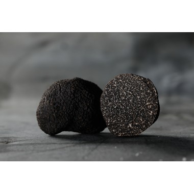 Truffe fraîche Tuber Mélanosporum